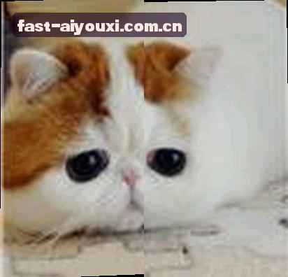 郑丽